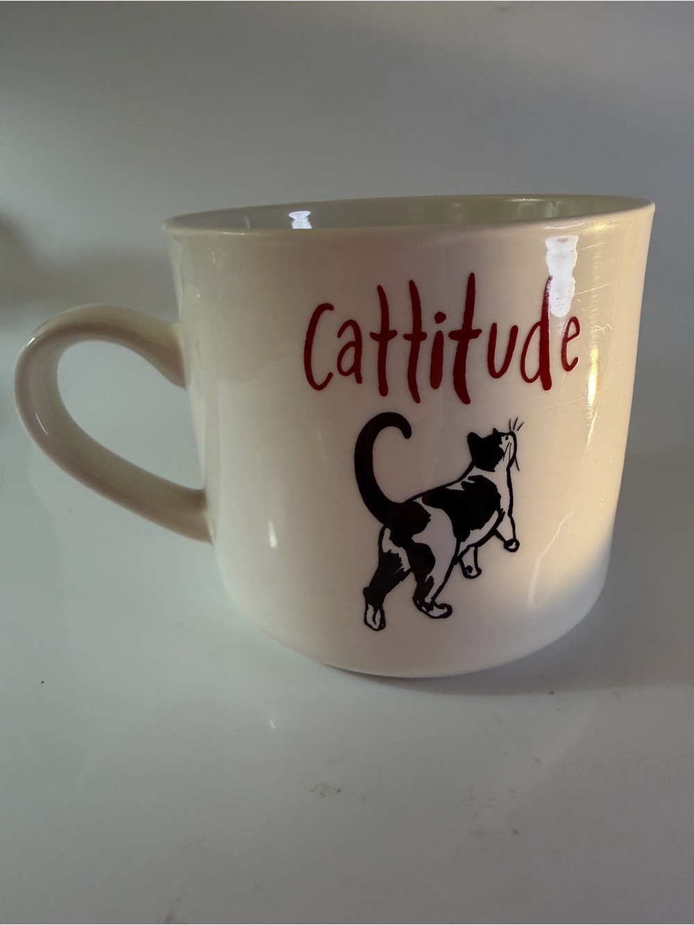 Cattitude Ceramic Cat Mug - Opalhouse